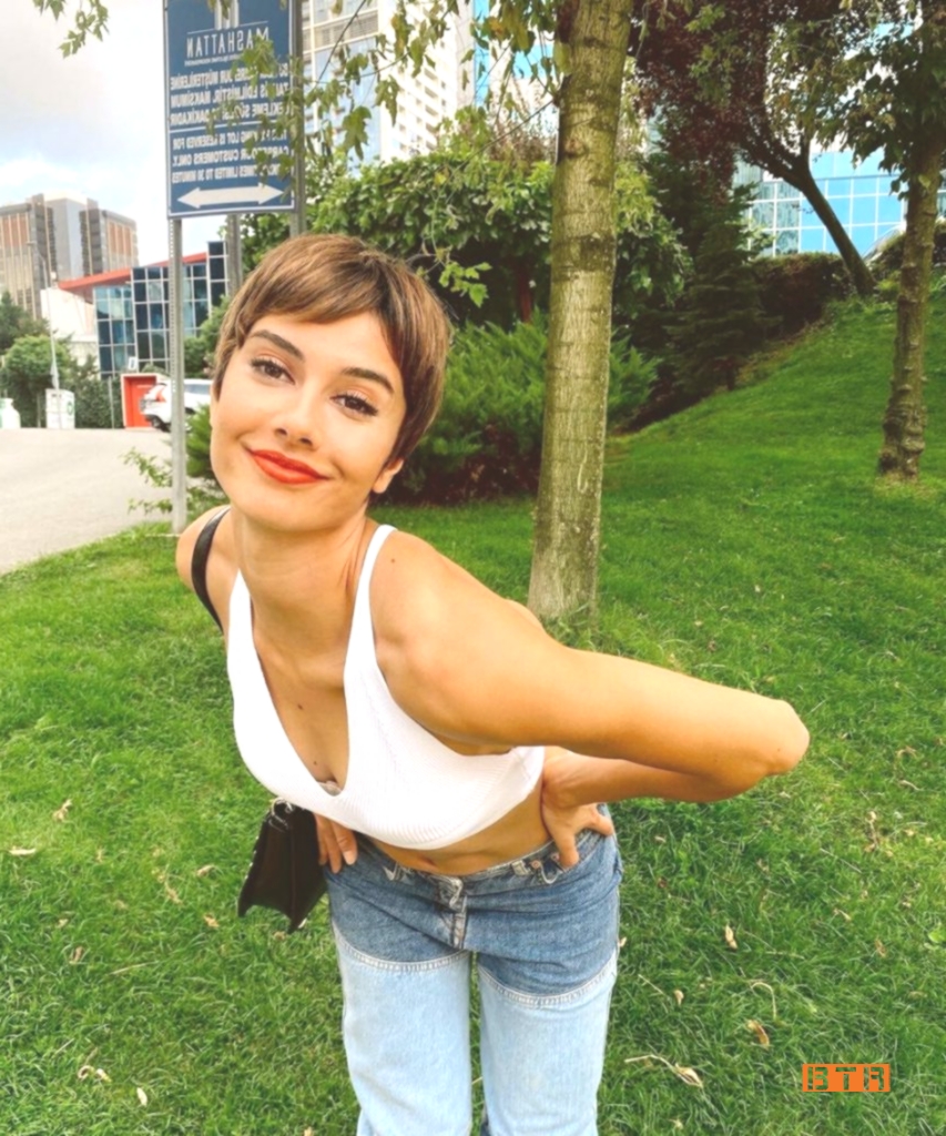berfe sancak 1